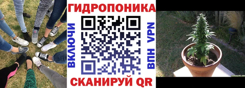 Купить  Любим  Шишки марихуана конопля 